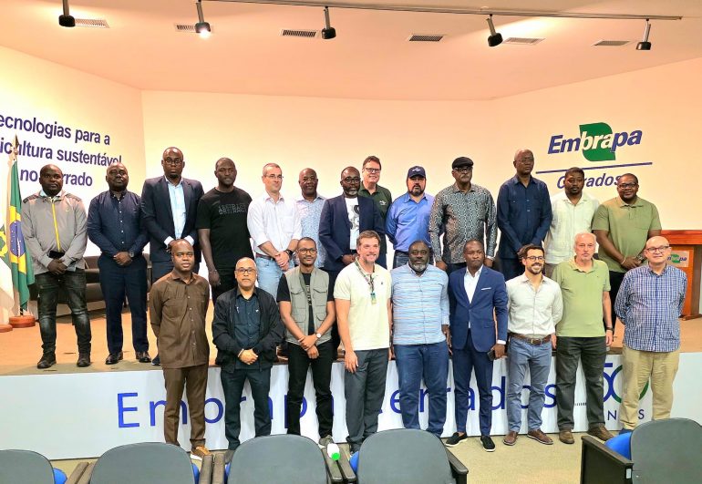 Brasil disponível para apoiar Angola na expansão do cultivo de soja